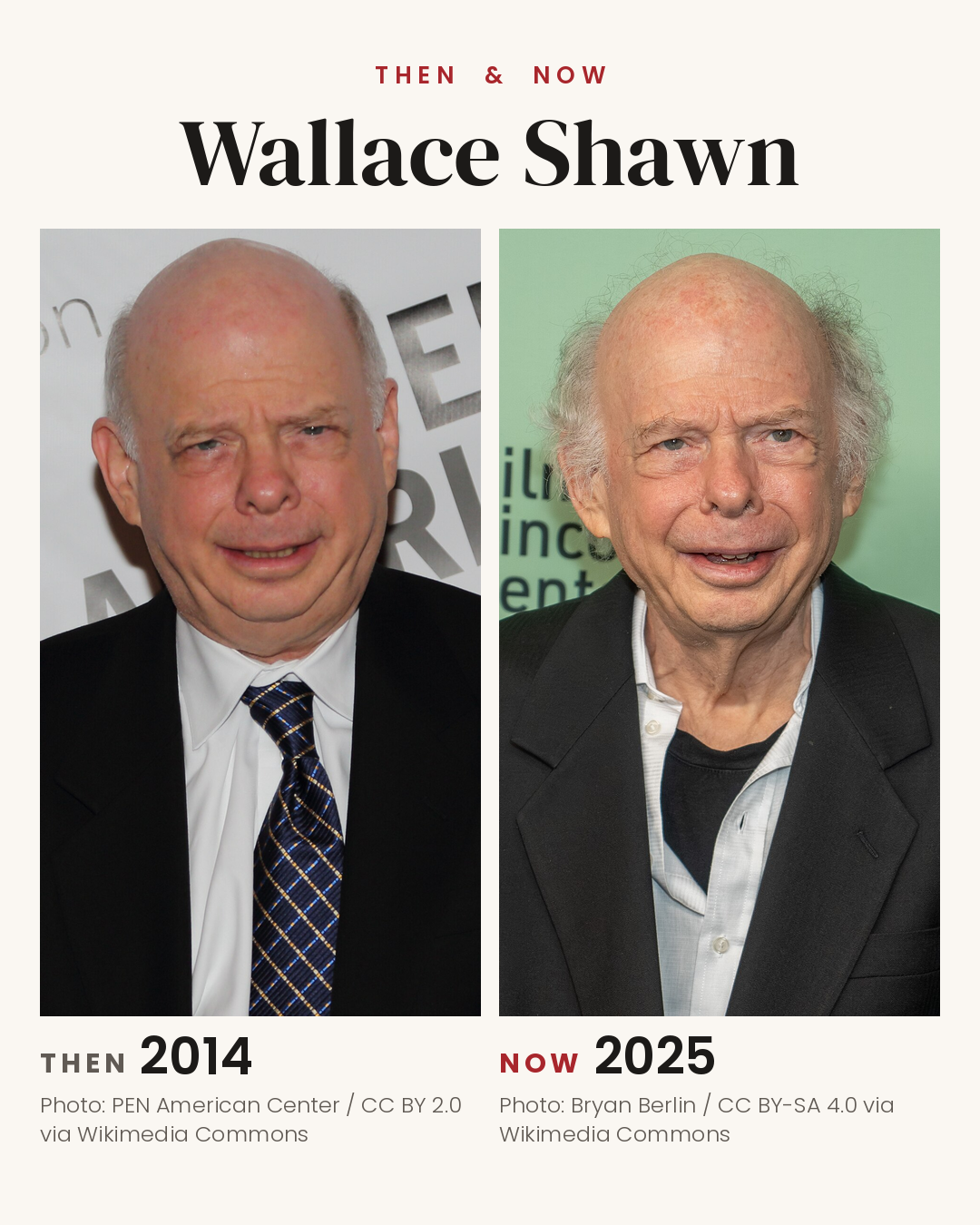 Wallace Shawn