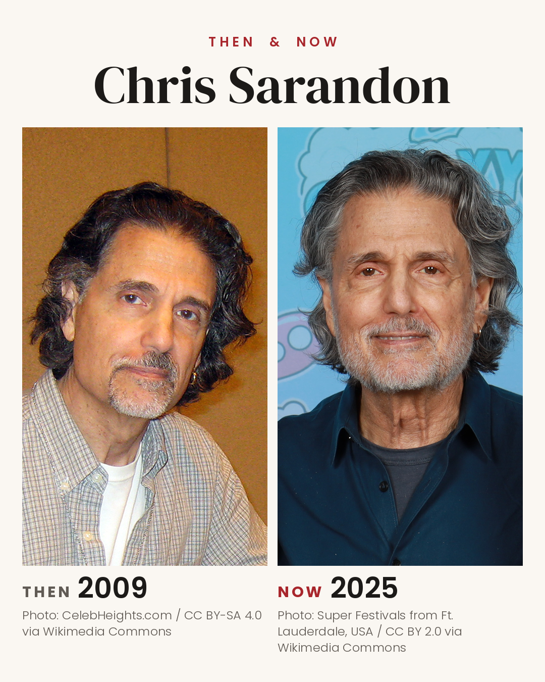 Chris Sarandon